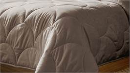 Zydante Cotton Percale couette sans housse