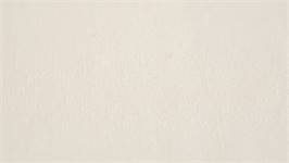 Snoozing drap-housse TR coton 57 fils