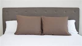 Snoozing taies d'oreiller coton 57 fils (lot de 2)