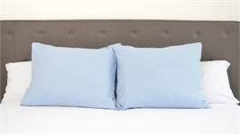 Snoozing taies d'oreiller coton 57 fils (lot de 2)