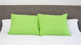 Snoozing taies d'oreiller coton 57 fils (lot de 2)