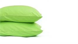 Snoozing taies d'oreiller coton 57 fils (lot de 2)