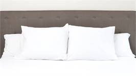 Snoozing taies d'oreiller coton 57 fils (lot de 2)