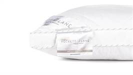 Heckettlane Gold oreiller box synthétique medium