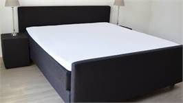 Snoozing drap-housse surmatelas percale