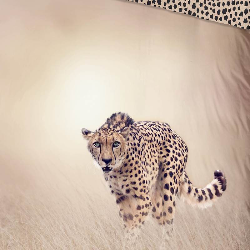 Good Morning Cheetah housse de couette 
