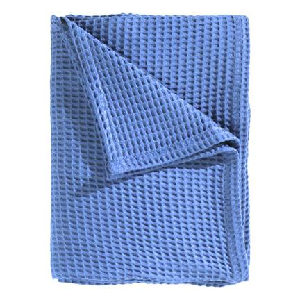 Bleu roi