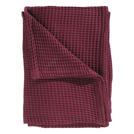 Brun auburn